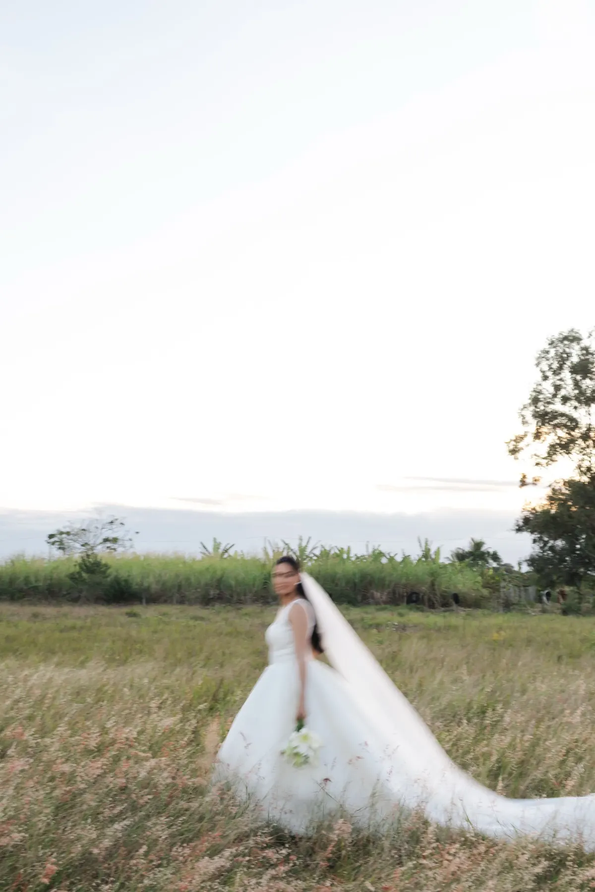 Noiva caminhando no campo com o véu longo